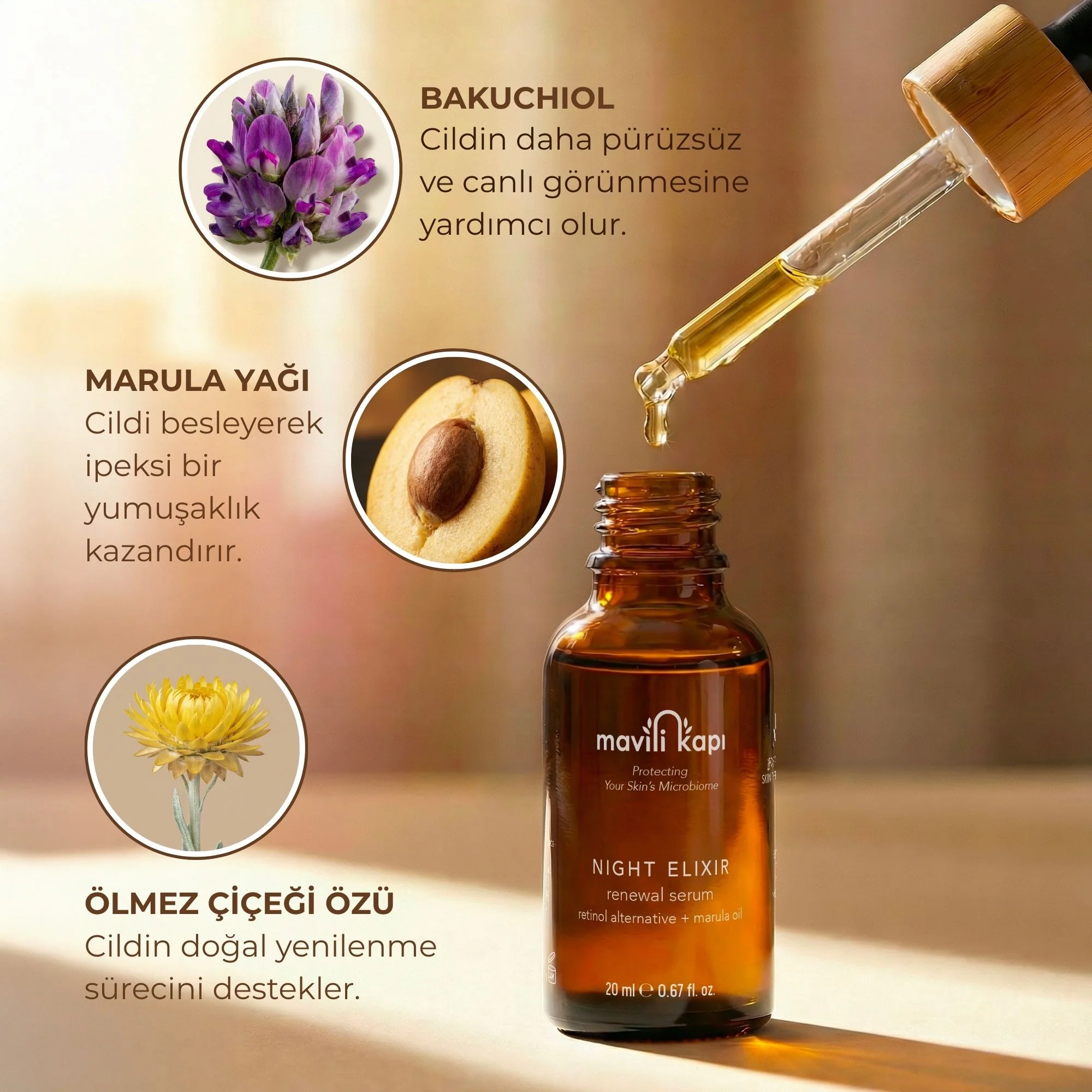 Night Elixir Yenileyici Gece Serumu | Doğal Retinol Alternatifi Bakuchiol