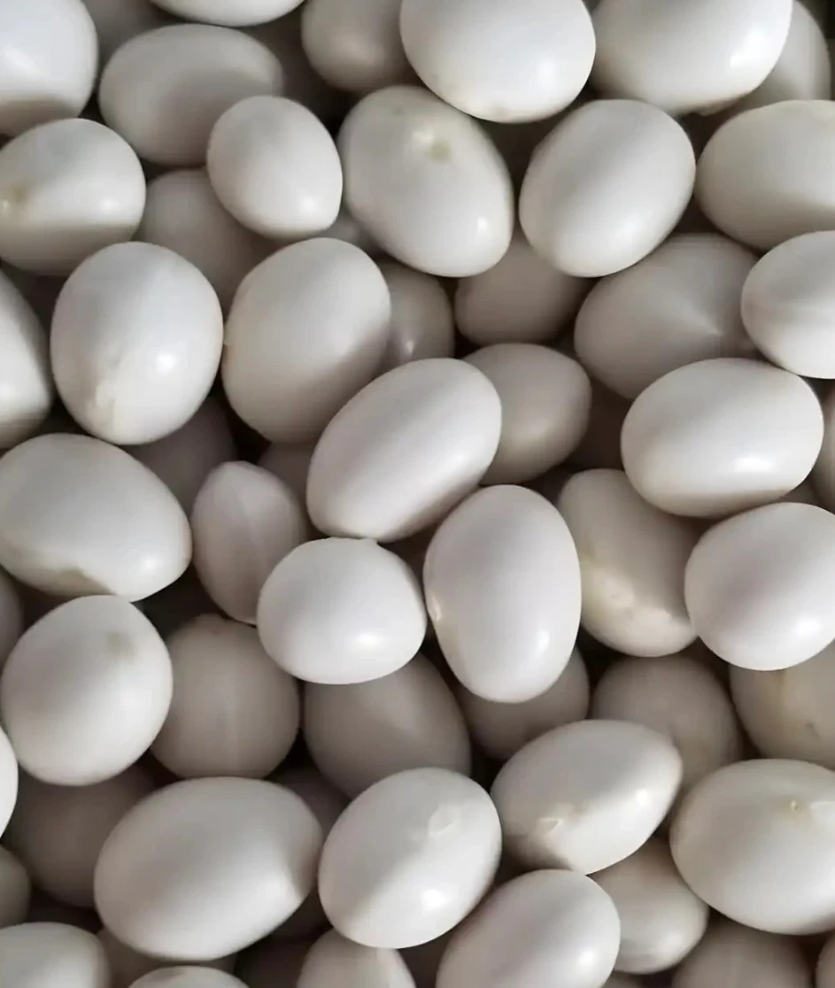 Serenti Atalık Tohum Kuru Fasulye / Yarım kg – Giresun Dağ Köylerinden