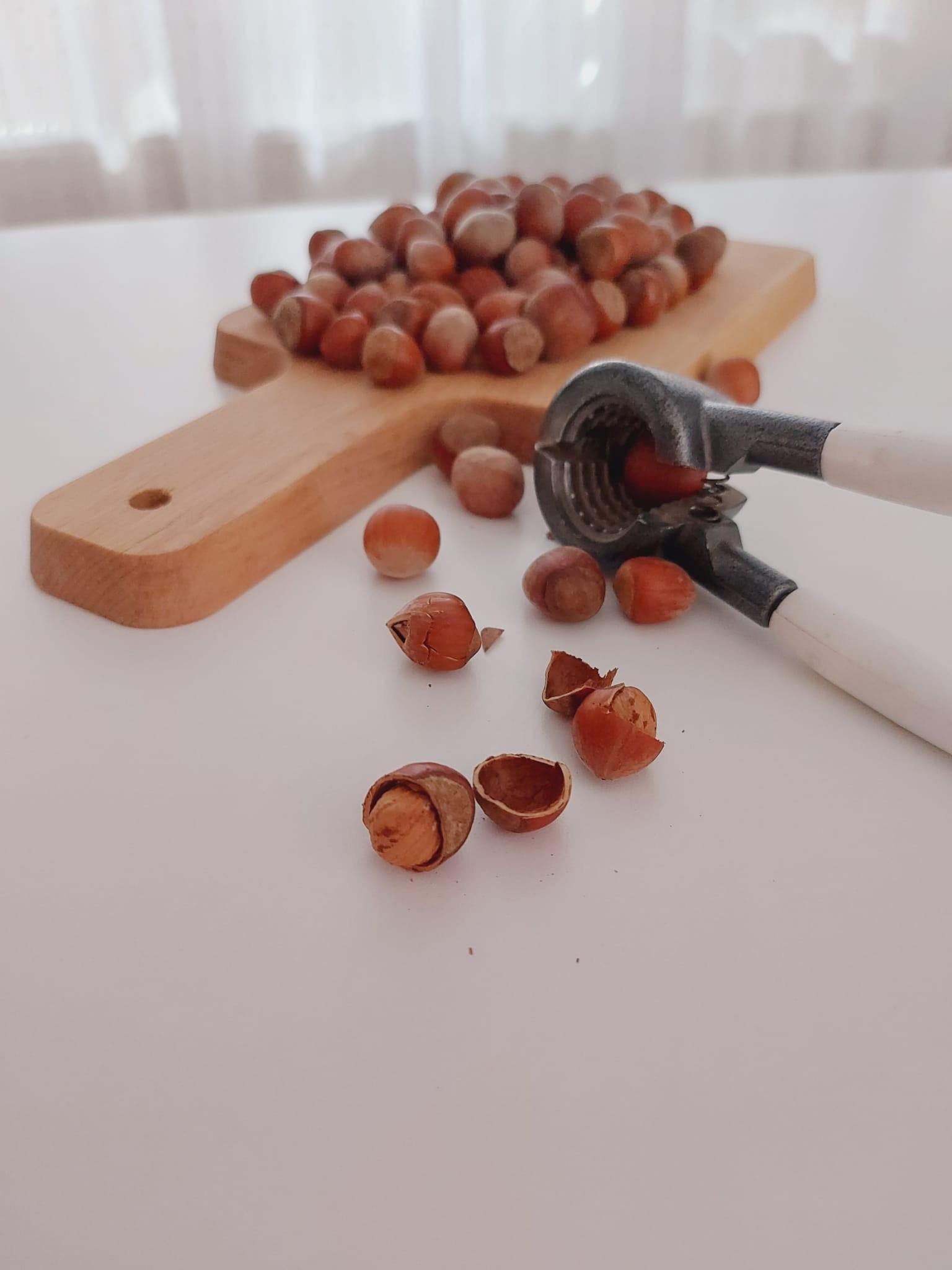 Serenti İlaçsız Kabuklu Fındık / 1 kg