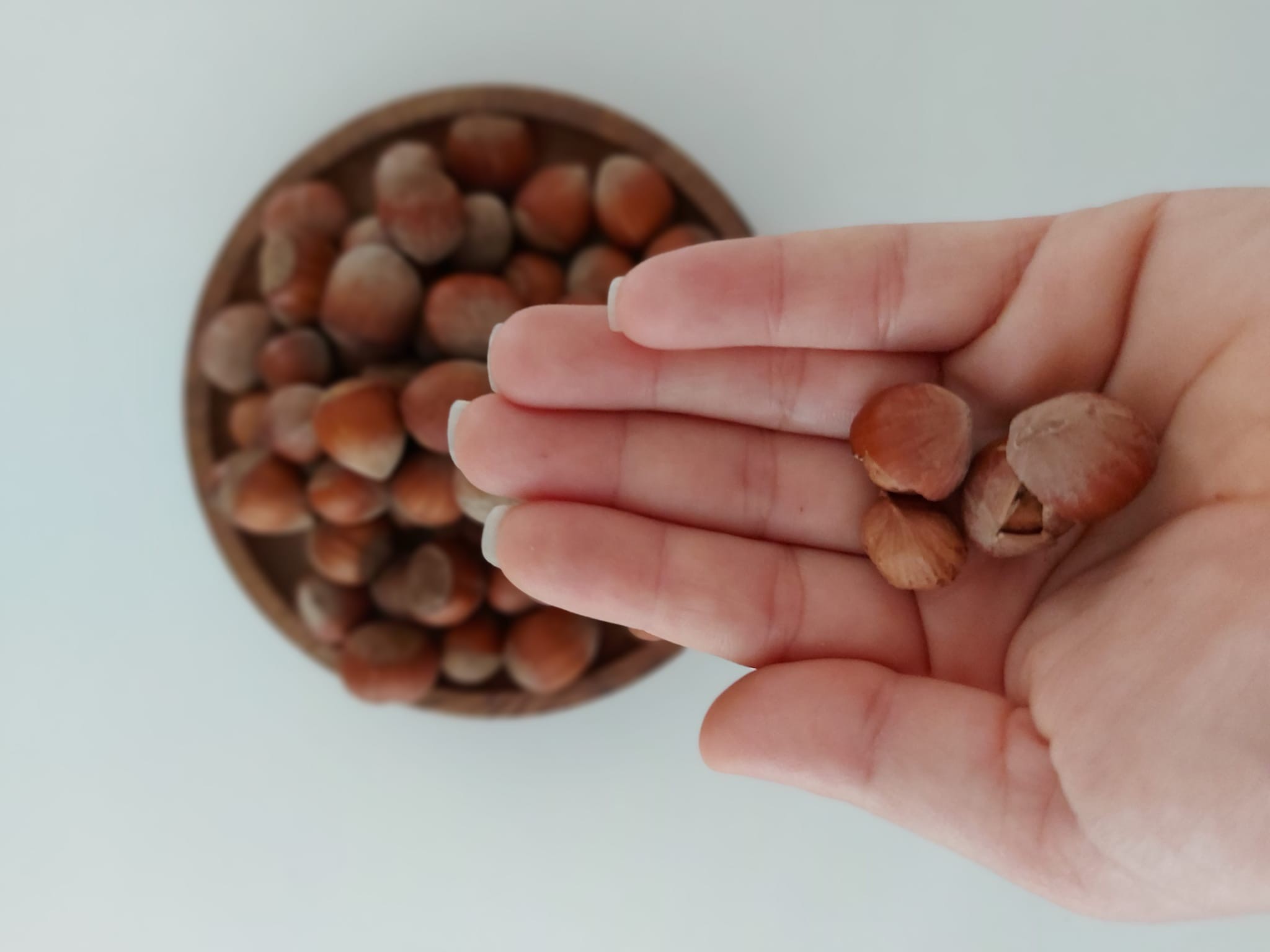 Serenti İlaçsız Kabuklu Fındık / 1 kg