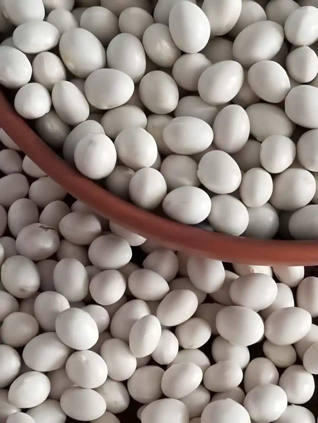 Serenti Atalık Tohum Kuru Fasulye / Yarım kg – Giresun Dağ Köylerinden