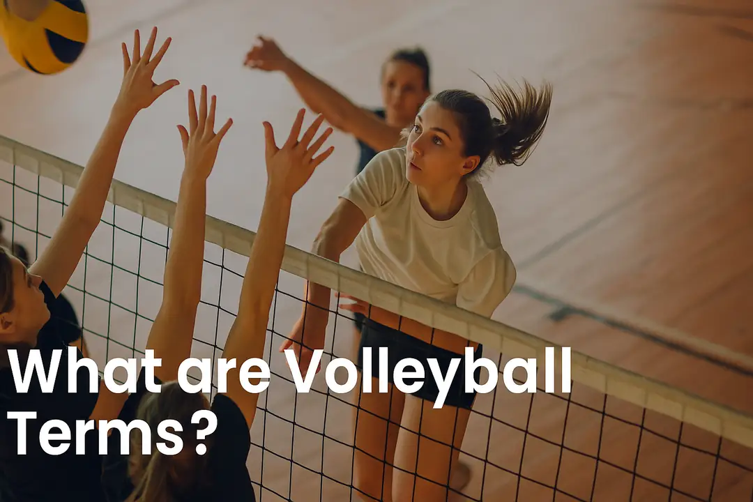 What are Volleyball Terms? | tootechin