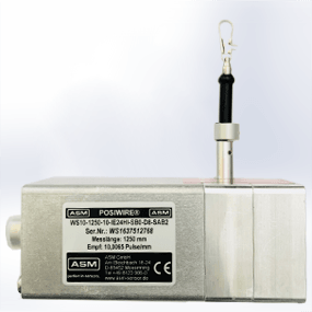 ASM WS10-1250-10-IE24HI-SB0-D8-SAB2