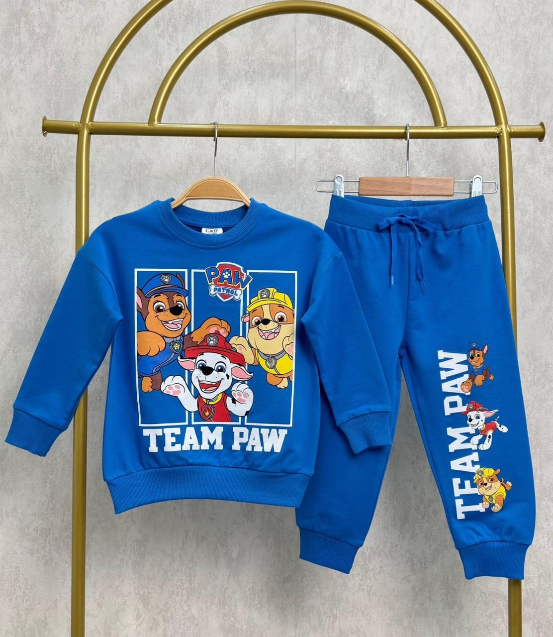 PAW PATROL TAKIM