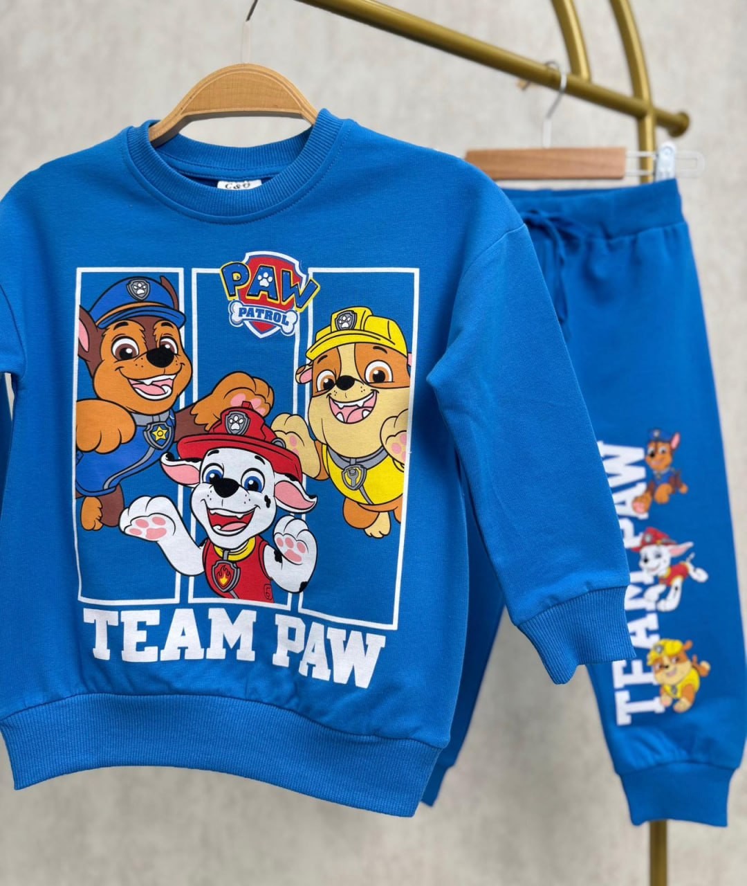 PAW PATROL TAKIM