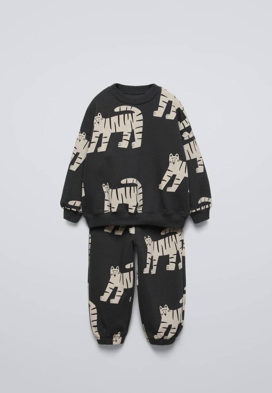 ZEBRA DESEN TAKIM