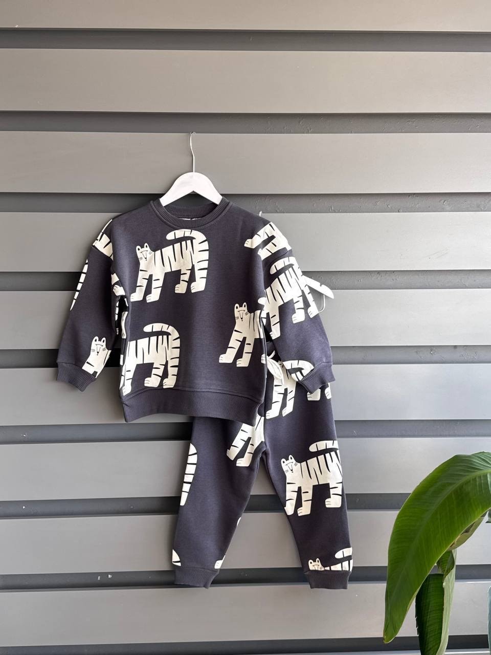 ZEBRA DESEN TAKIM