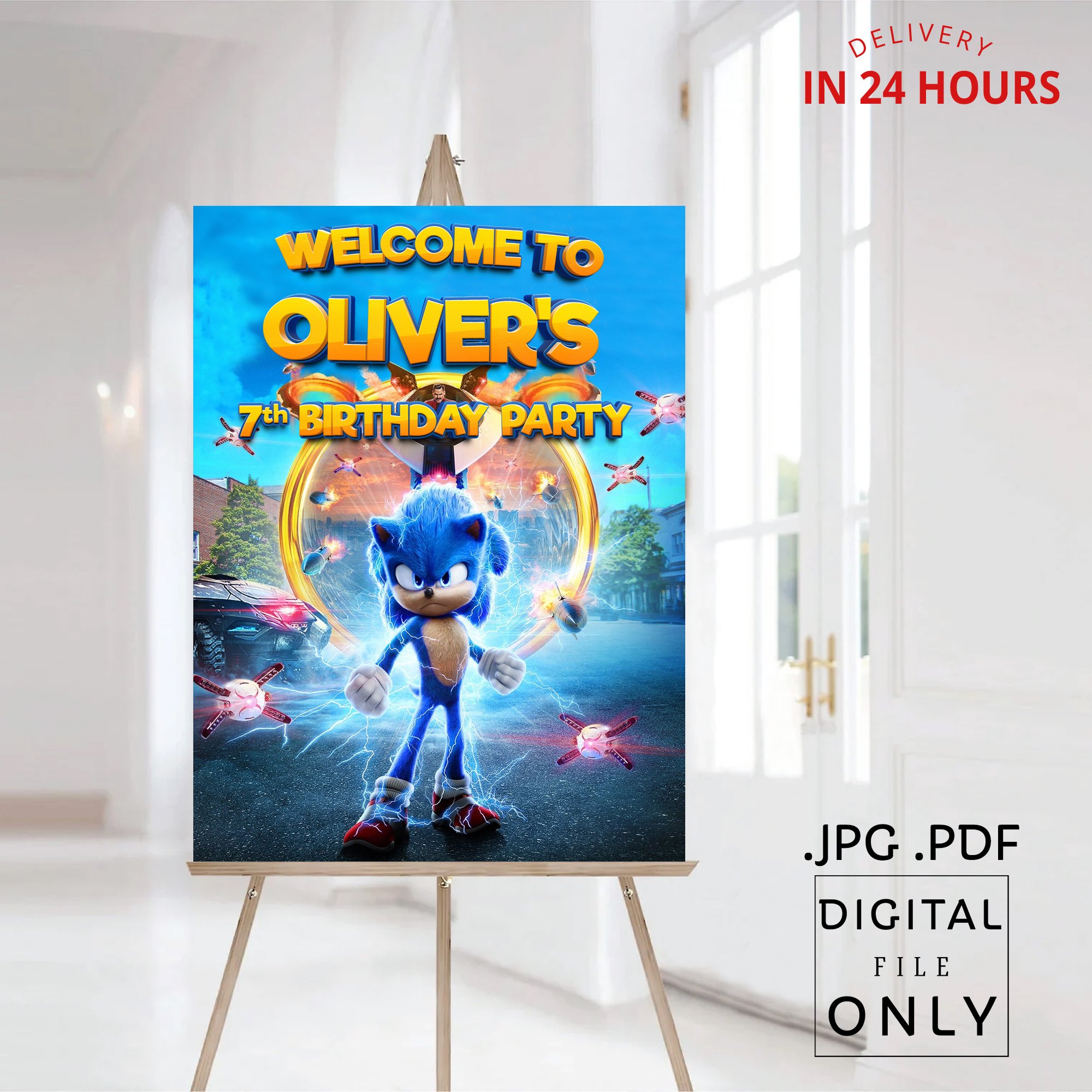 Sonic Birthday Welcome Sign Digital File