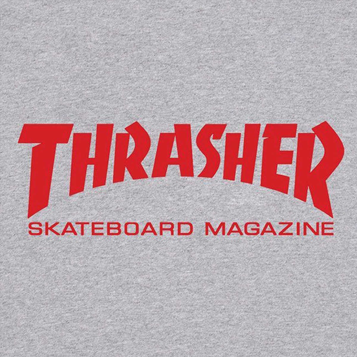 Thrasher Skate Mag Gray T-Shirt 110260