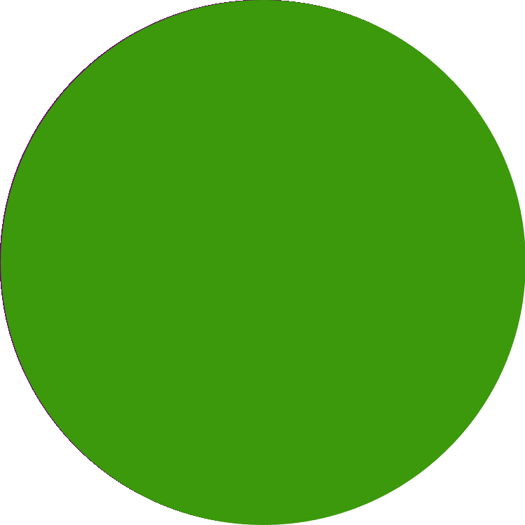Yuvarlak Renk Etiketi PP Opak Yeşil Çap: 50 mm 1 Rulo (250 Adet)