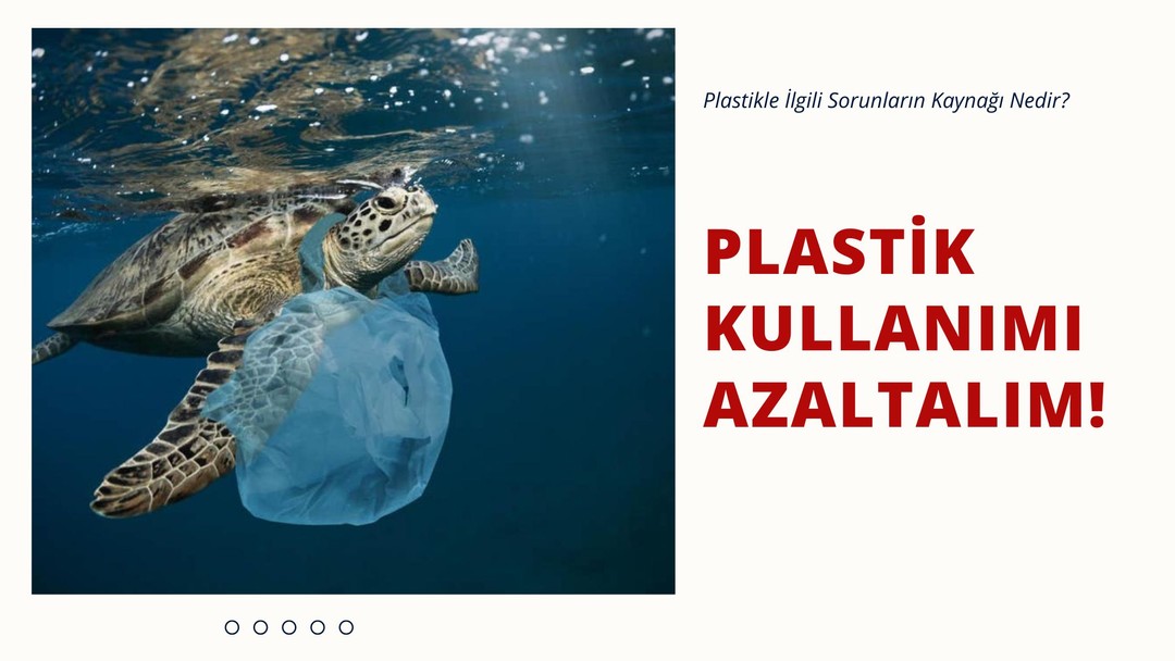 Plastikle İlgili Sorunların Kaynağı Nedir?