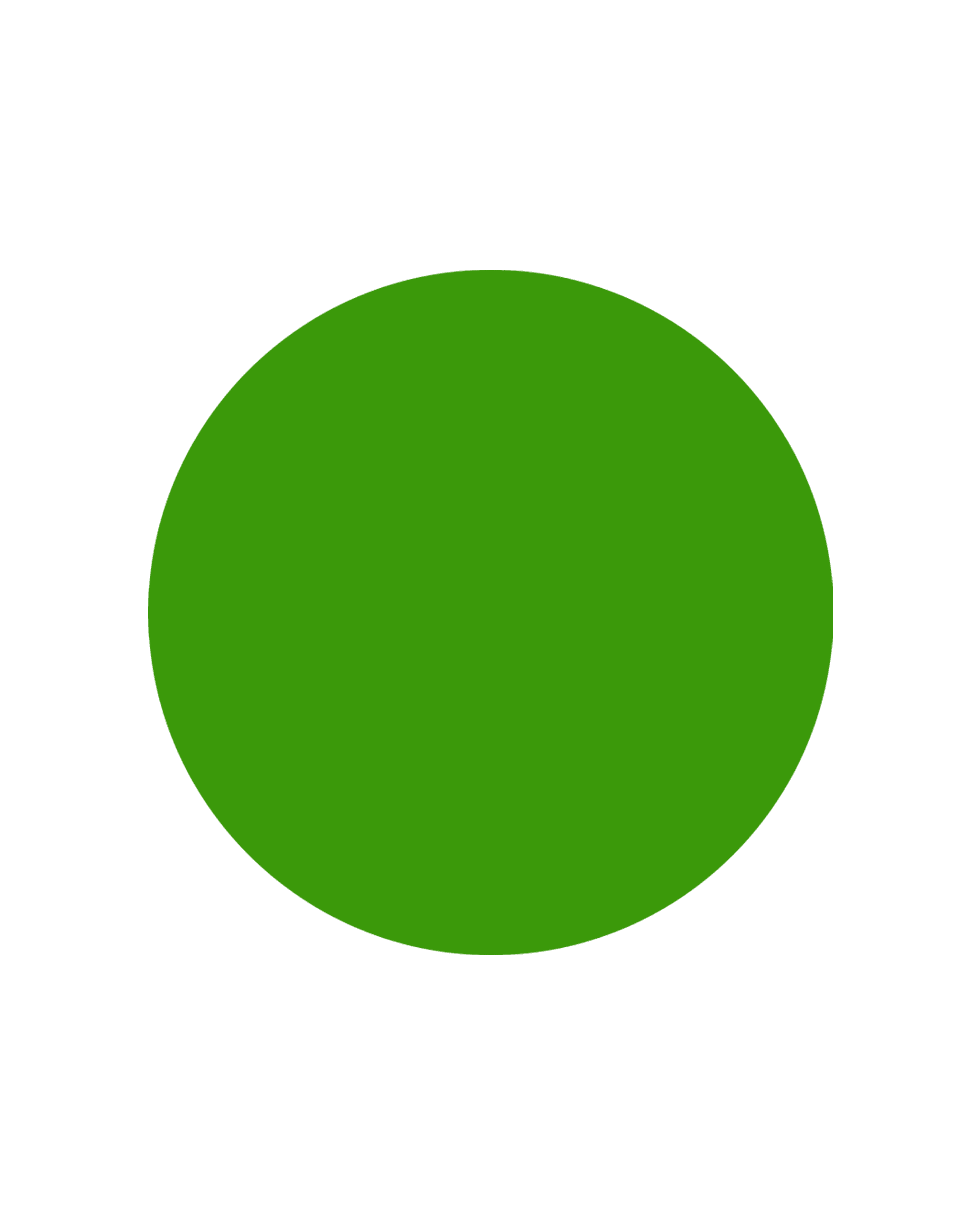 Yuvarlak Renk Etiketi PP Opak Yeşil Çap: 25 mm 1 Rulo (500 Adet)