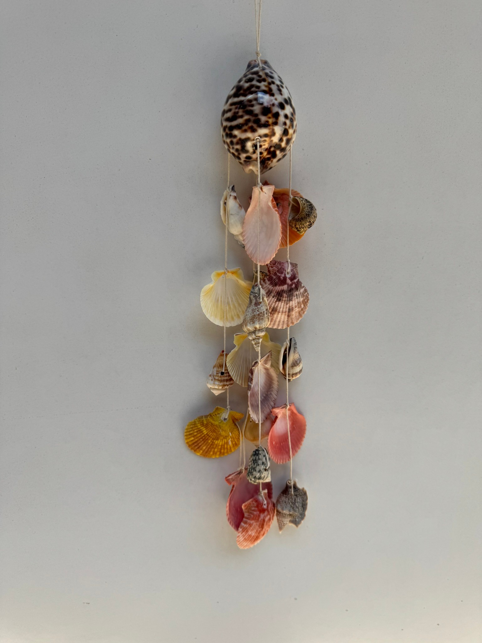 Tiger Cowry Deniz Kabuklu Rüzgar Çanı