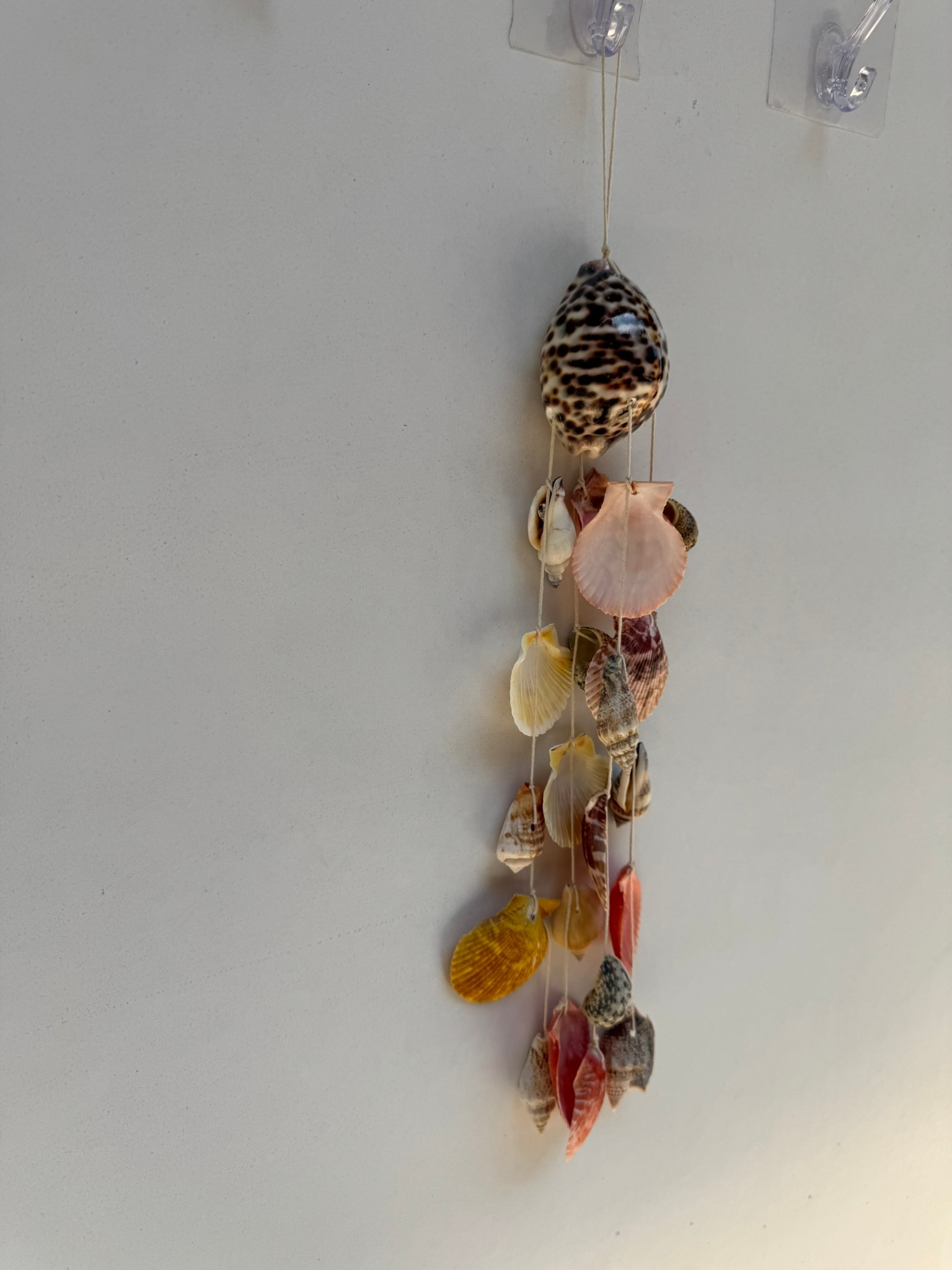 Tiger Cowry Deniz Kabuklu Rüzgar Çanı