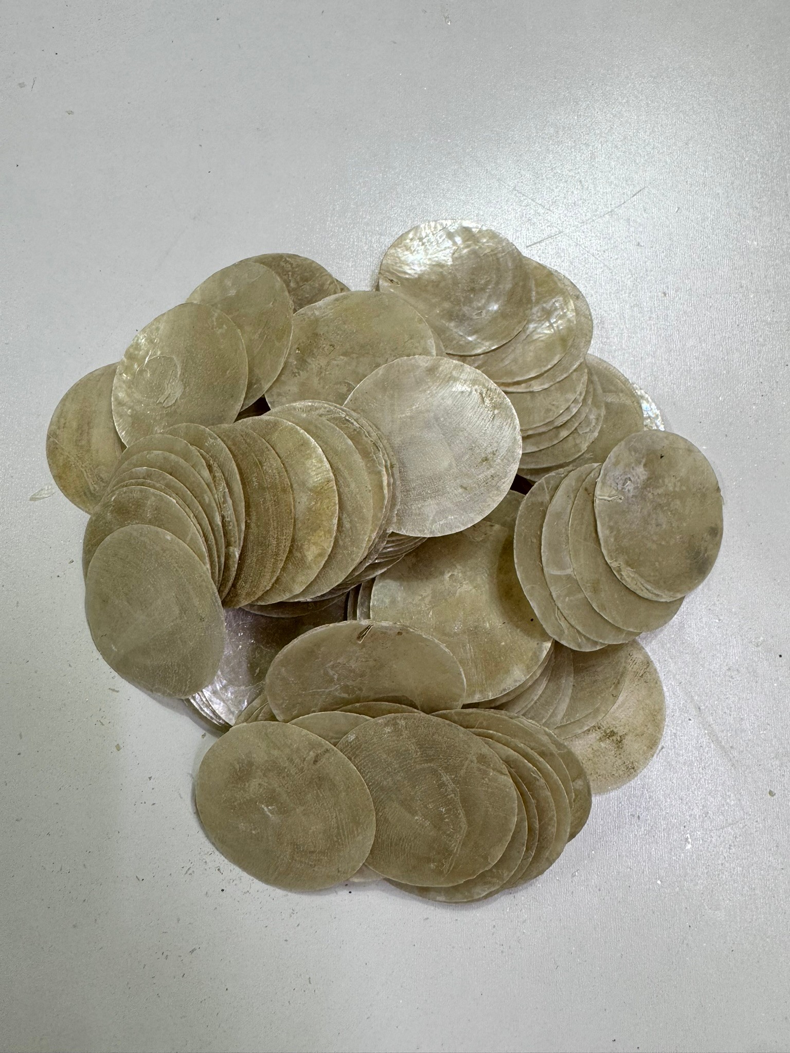 Çapiz Deniz Kabuğu 100 Gr  - 5 Cm