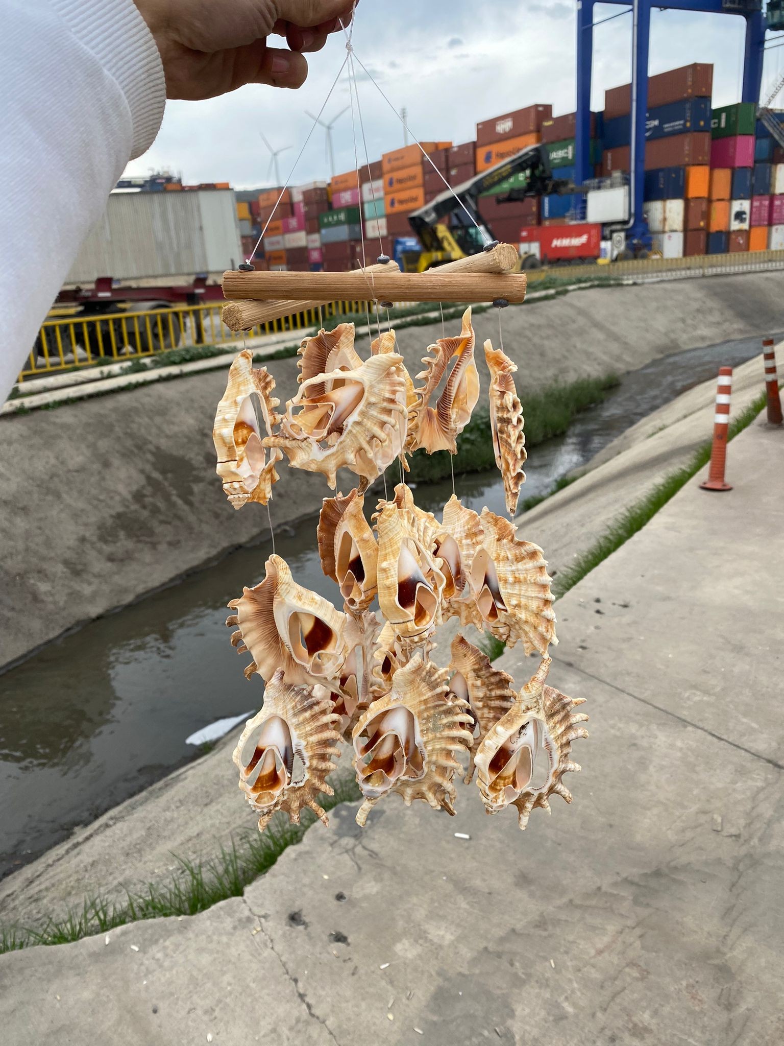 Lambis Deniz Kabuklu Rüzgar Çanı