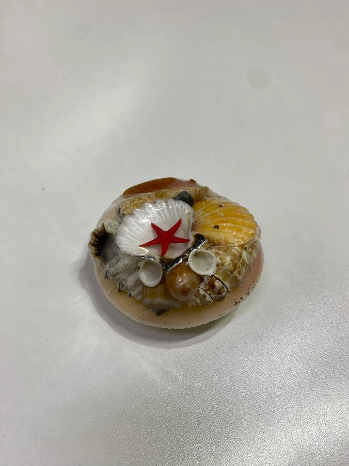 toptan deniz kabuklu sepet
