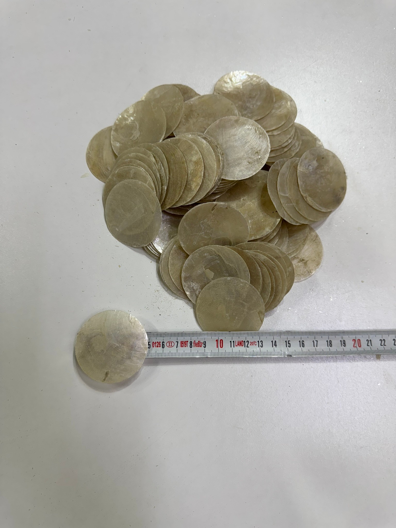 Çapiz Deniz Kabuğu 100 Gr 