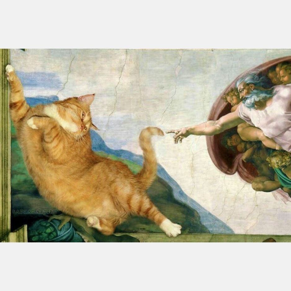 Creation of Cat