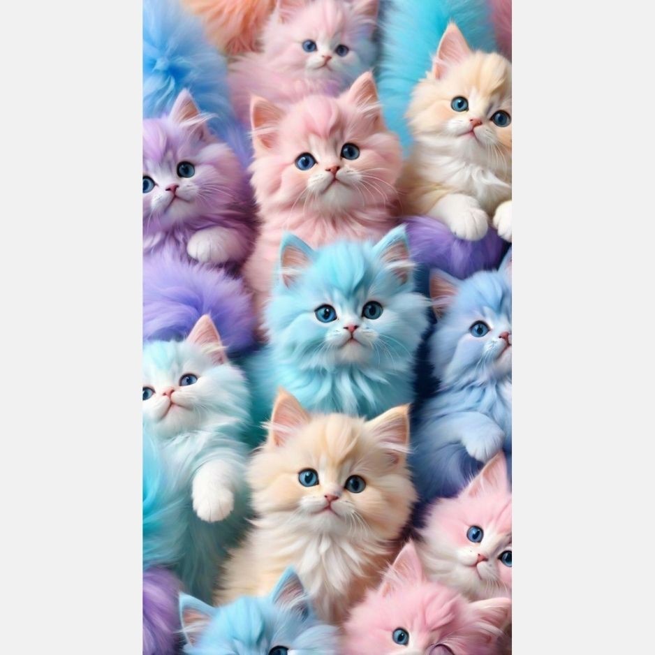 Kitty Kitty