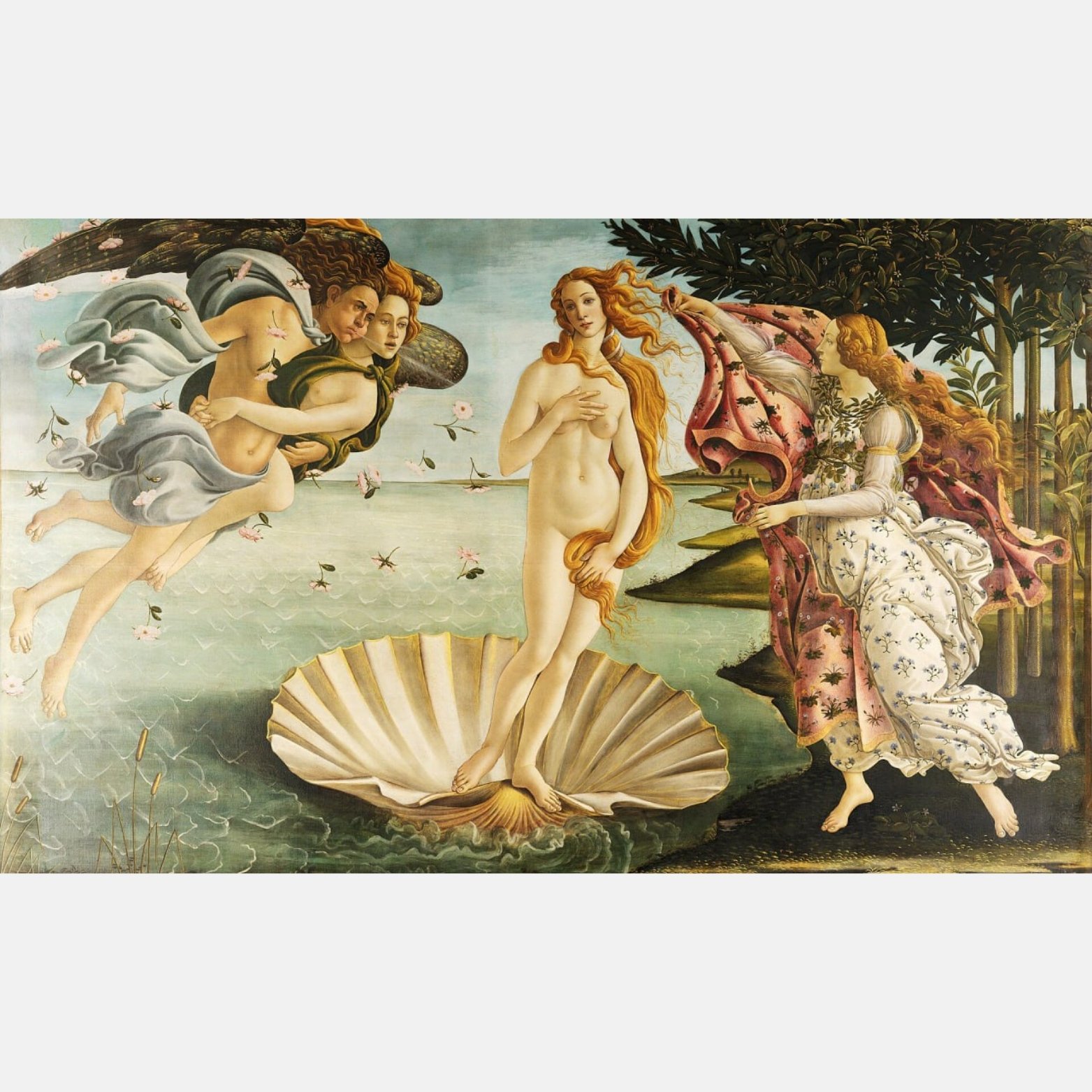 Birth Of Venus - Sandro Botticelli 🖼️