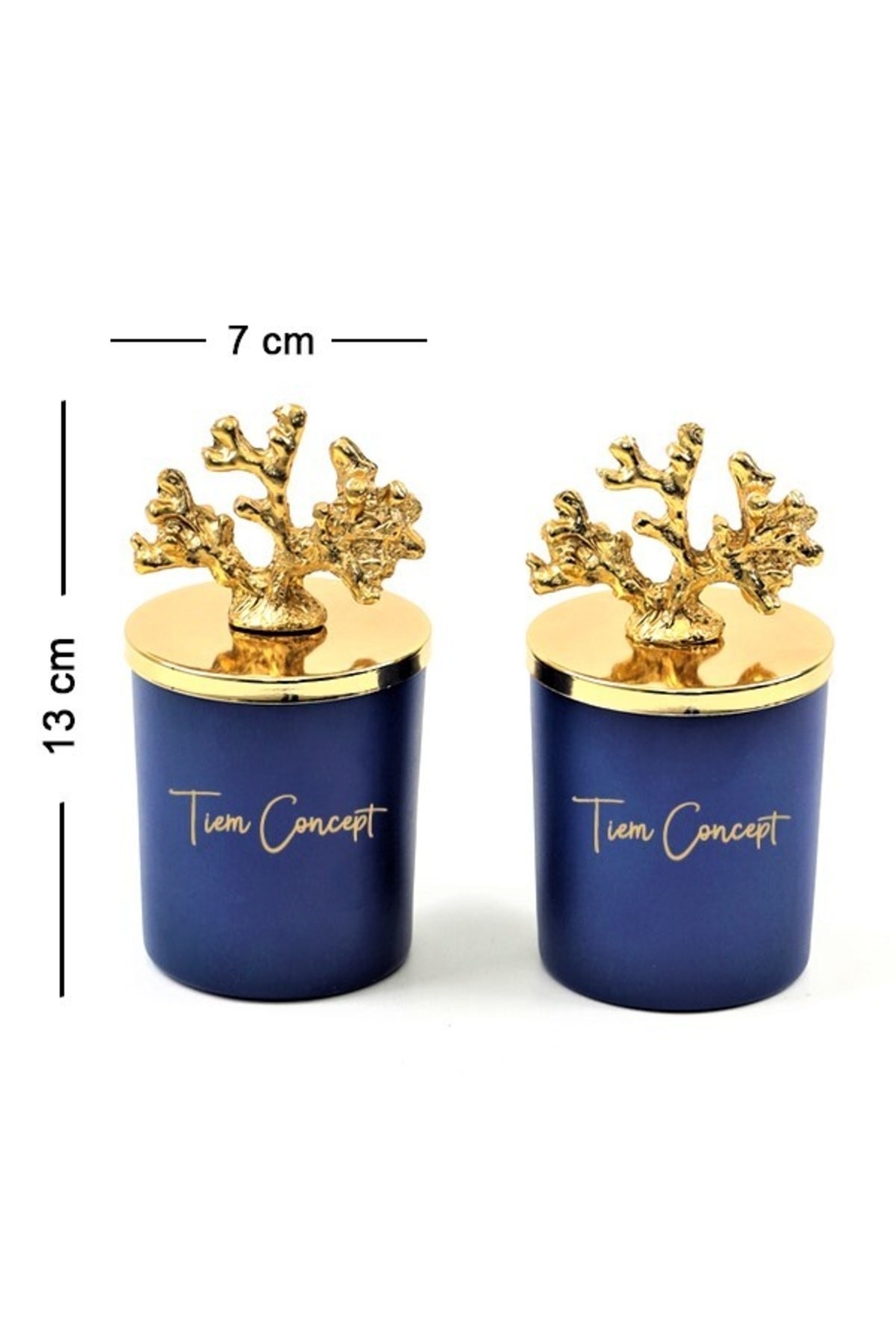 Tiem Concept Dekoratif Özel Tasarım Gold Mercan Tepelikli Okyanus Kokulu 2li Bardak Mum Seti