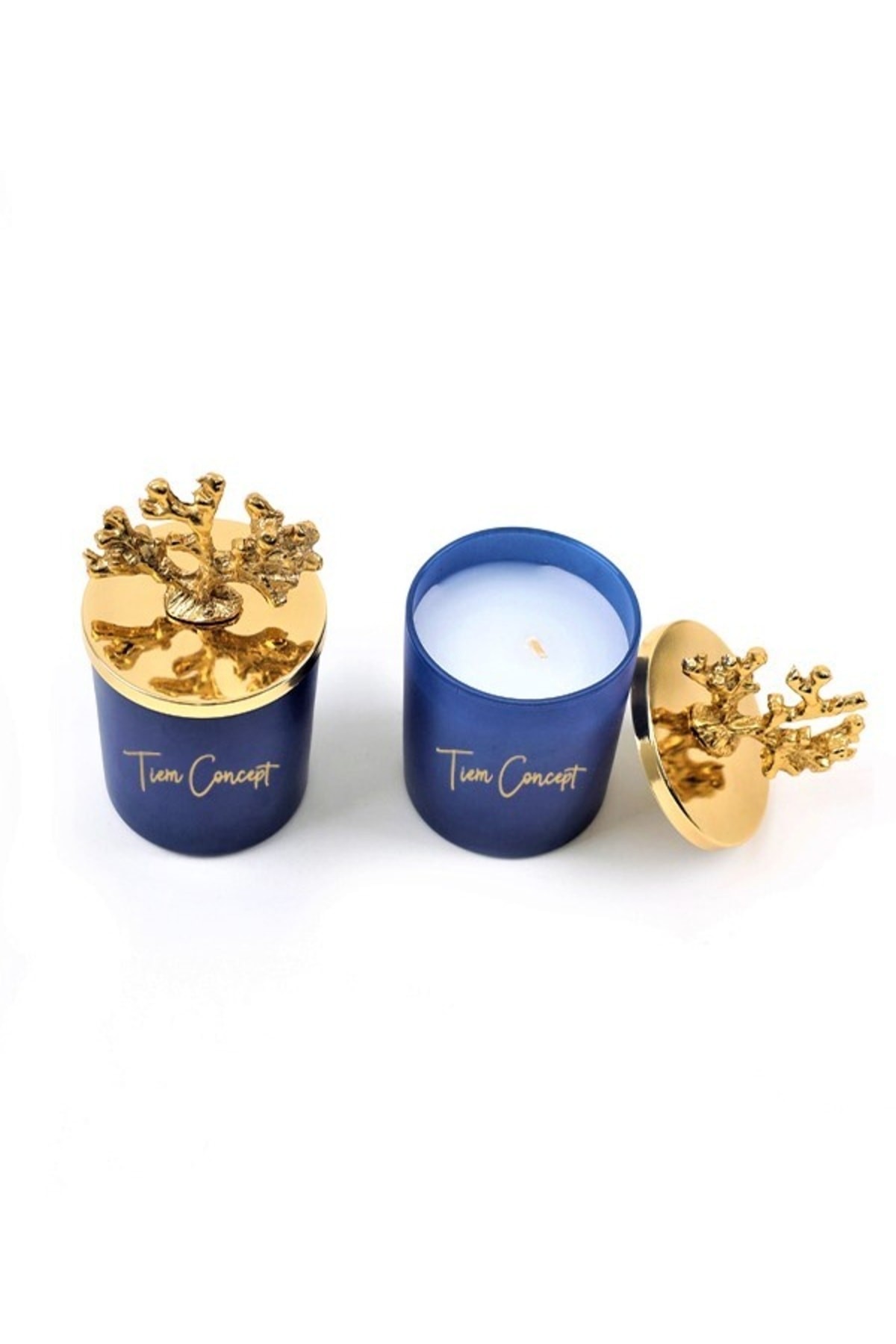 Tiem Concept Dekoratif Özel Tasarım Gold Mercan Tepelikli Okyanus Kokulu 2li Bardak Mum Seti