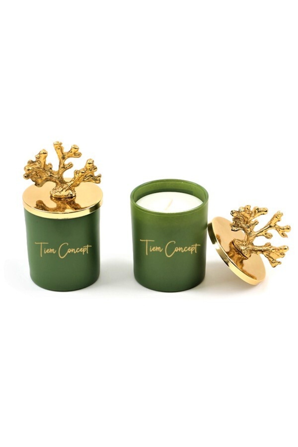 Tiem Concept Dekoratif Özel Tasarım Gold Mercan Tepelikli Yeşil Çay Kokulu 2li Yeşi Bardak Mum Seti