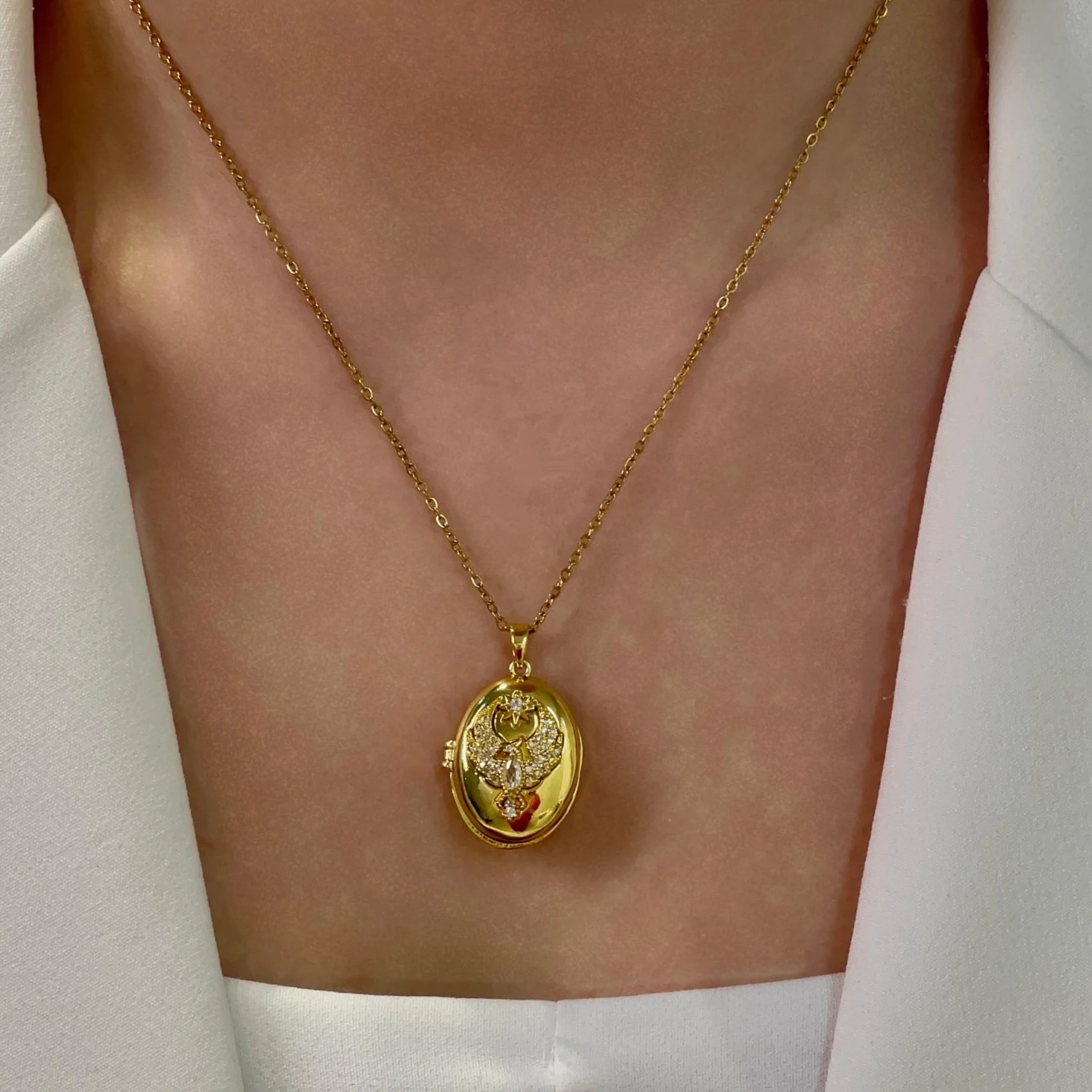 Anka Kuşu Kapaklı Çelik Kolye