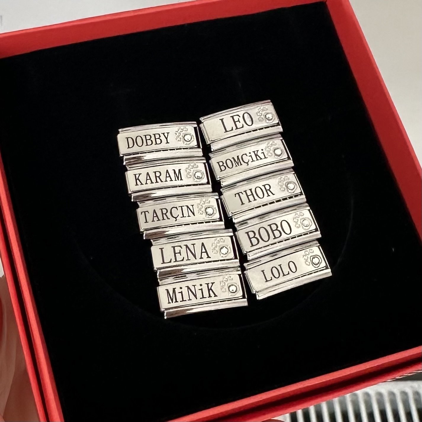 Patili Dostlar Nomi Charm (Çelik)