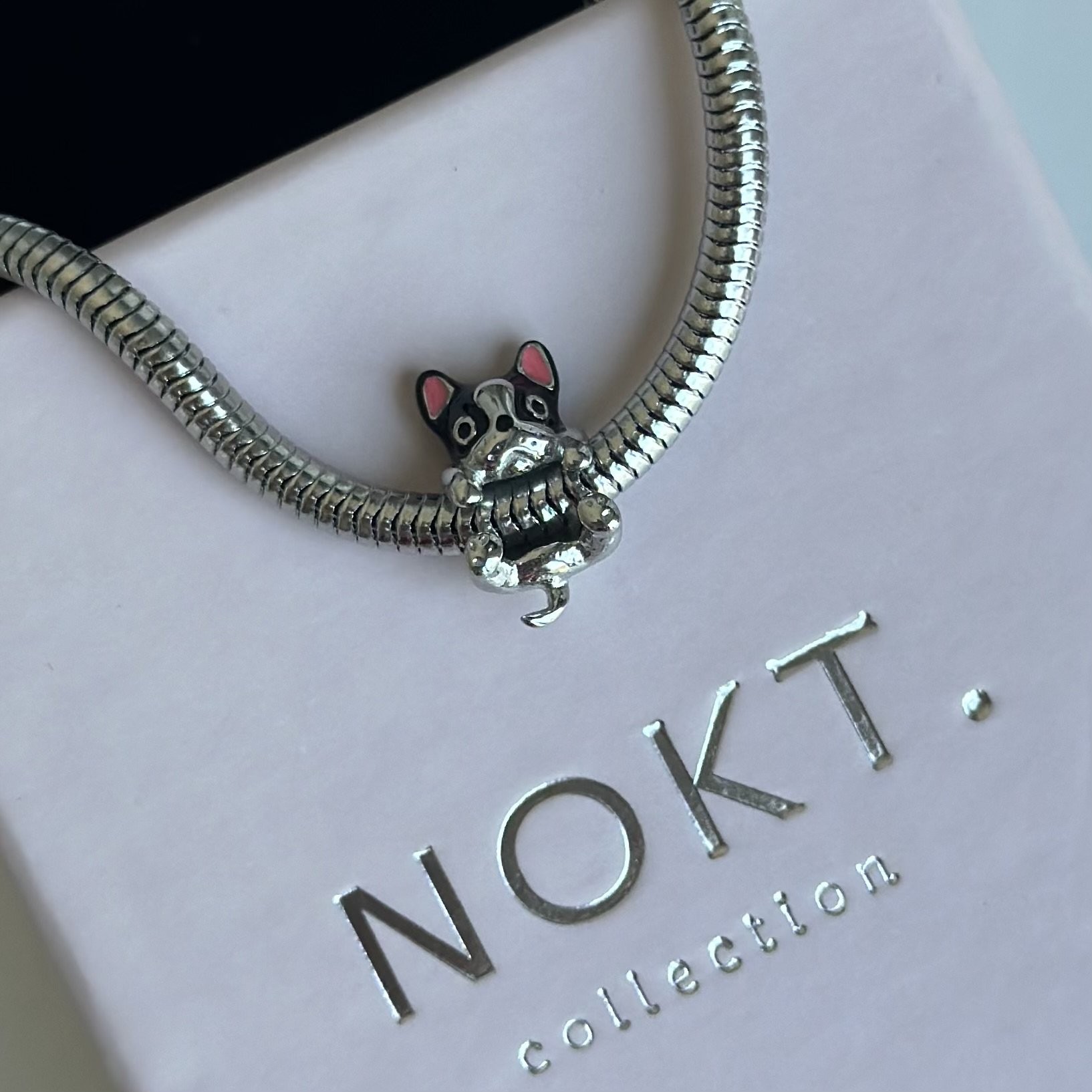 French Bulldog Charm