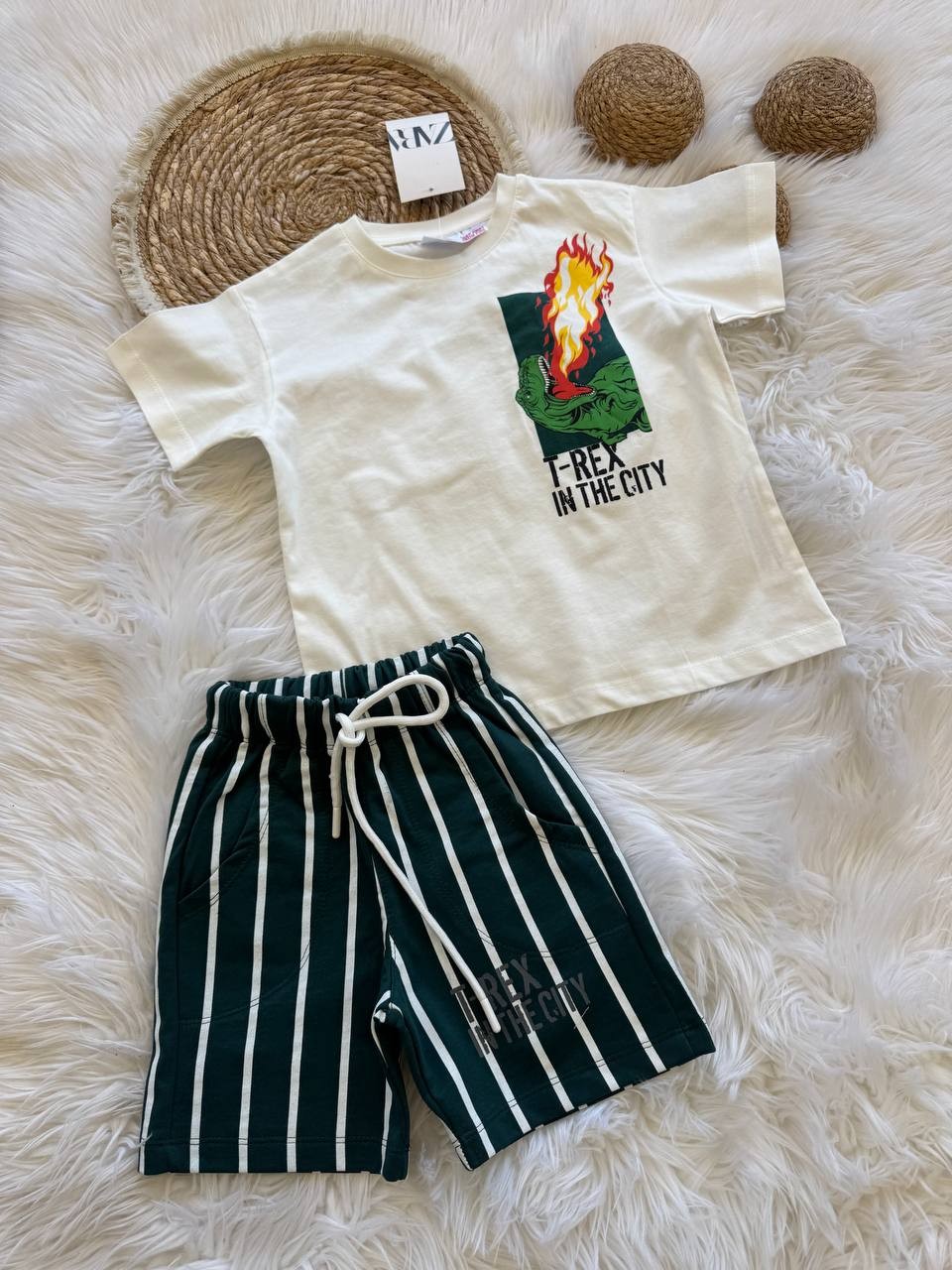 Zara t-rex iklili takım  image