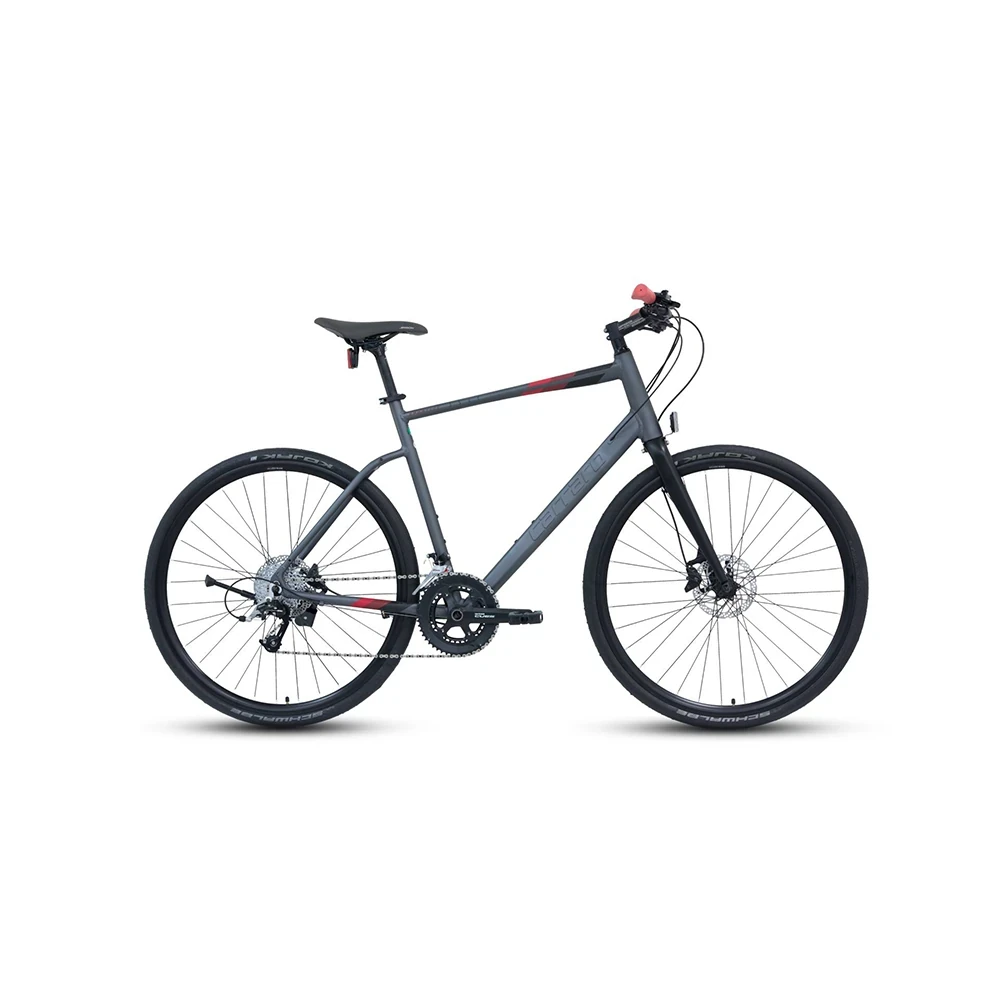 Carraro Sportive 350 28 jant Şehir & Tur Bisikleti 48 Kadro