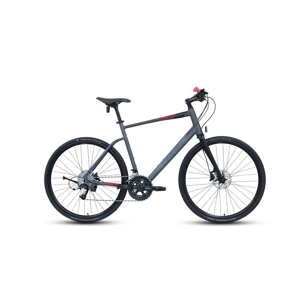 Carraro Sportive 350 28 jant Şehir & Tur Bisikleti 48 Kadro