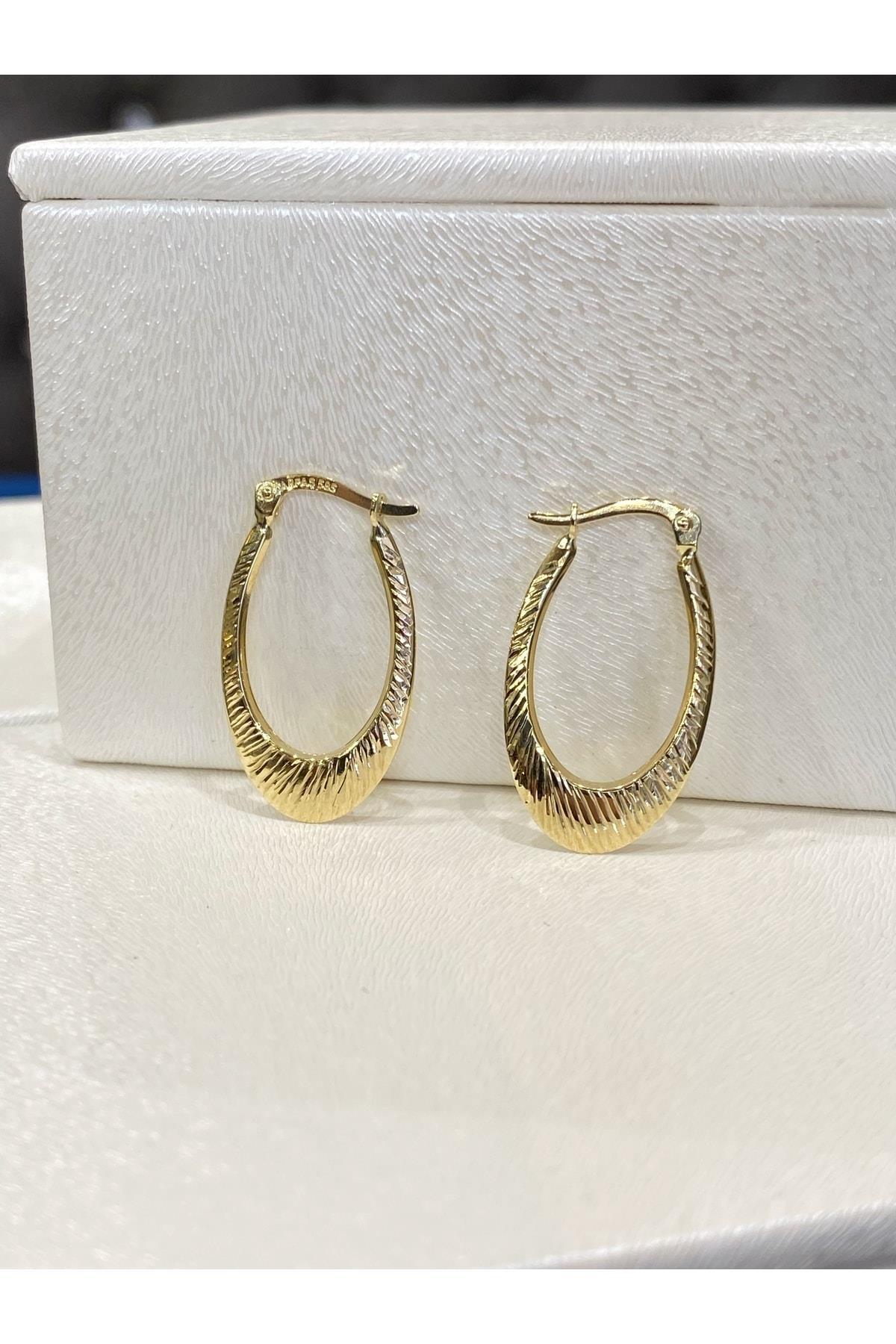 14 Ayar Altın Kalemli Midye Halka Küpe Orta Boy