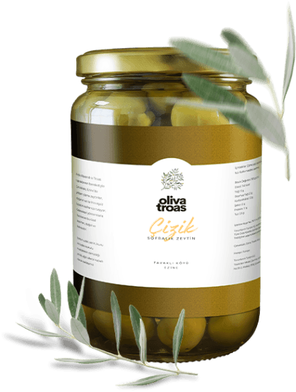 Natürel Çizik Sofralık Zeytin