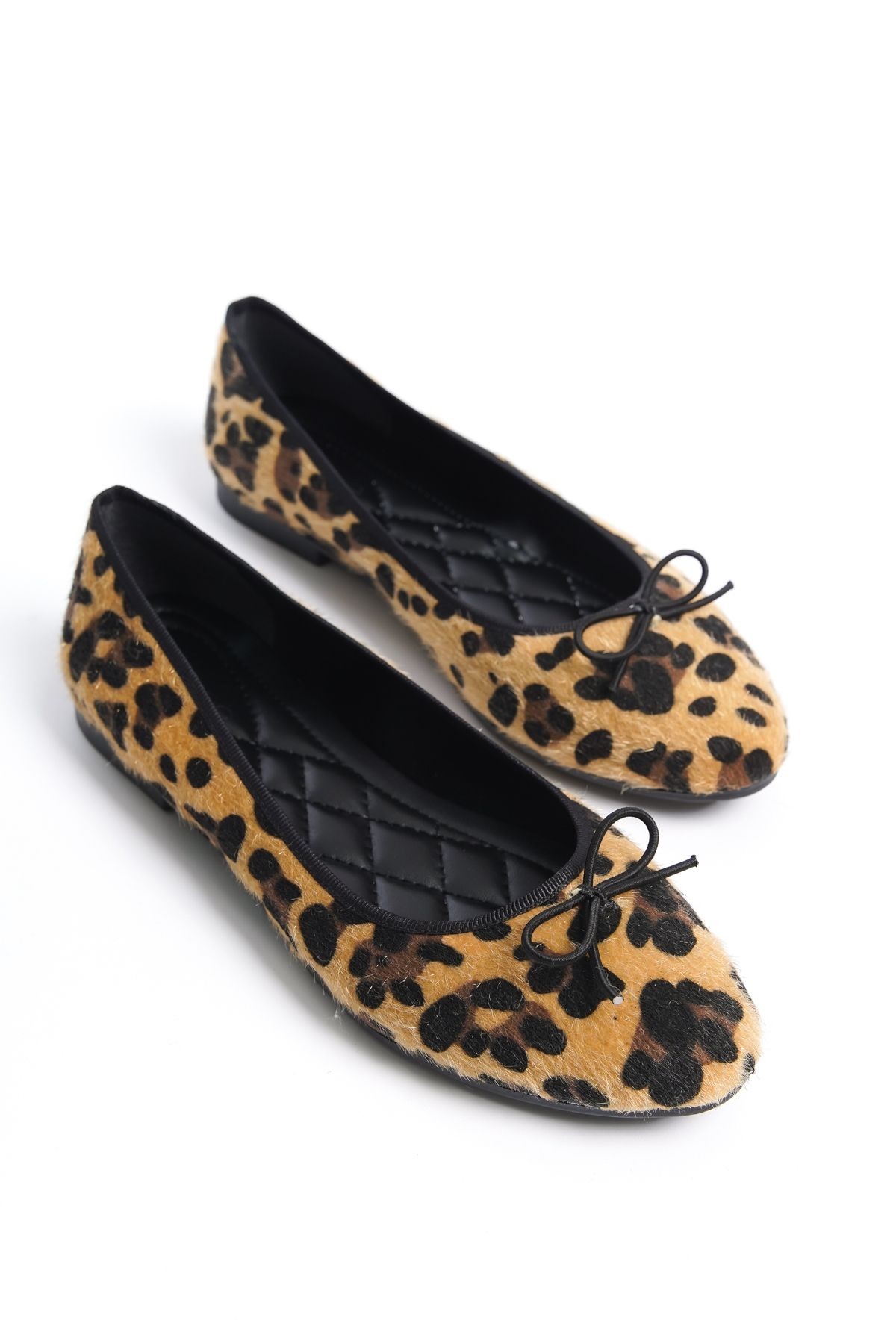 leopar