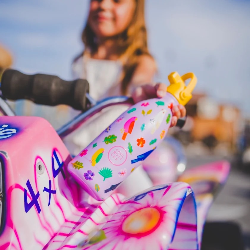 COOL BOTTLES DISCOVERY SERİSİ FLY FREE ÇELİK SULUK 500ML - LİLA | Çocuklar İçin Paslanmaz Çelik Suluk