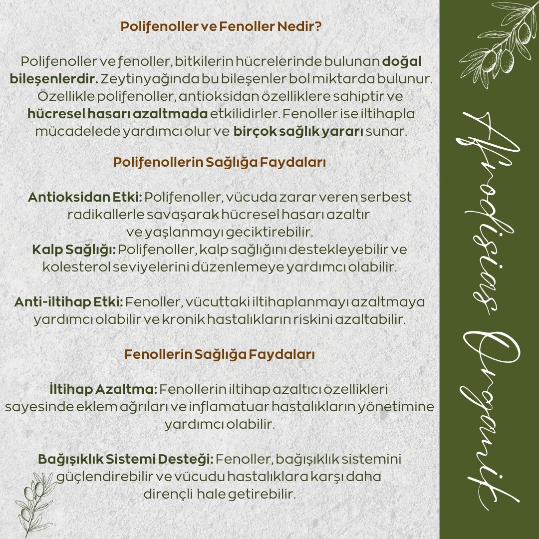 Polifenoller ve Fenoller Nedir?