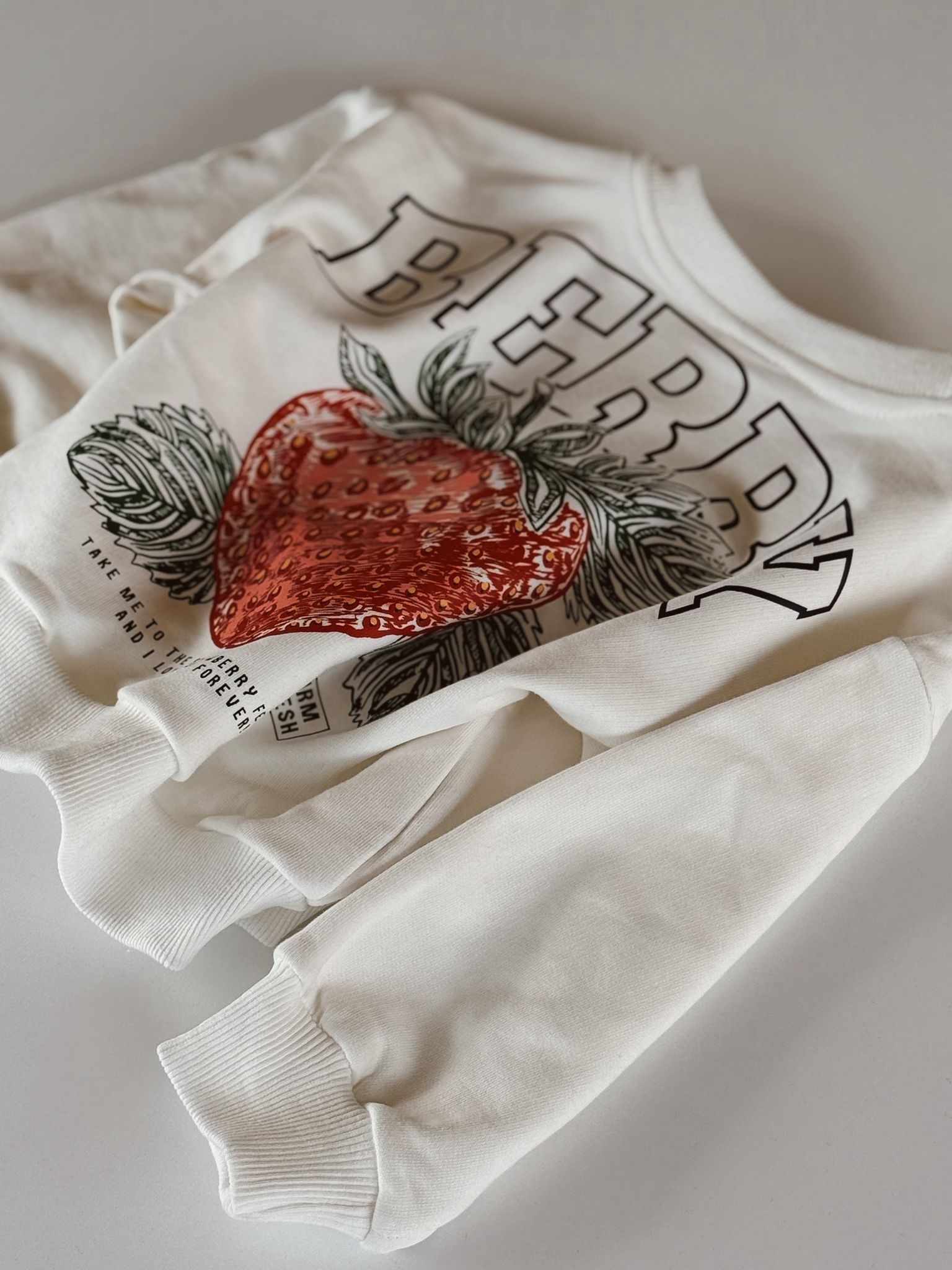 Berry Oversize Sweatshirt