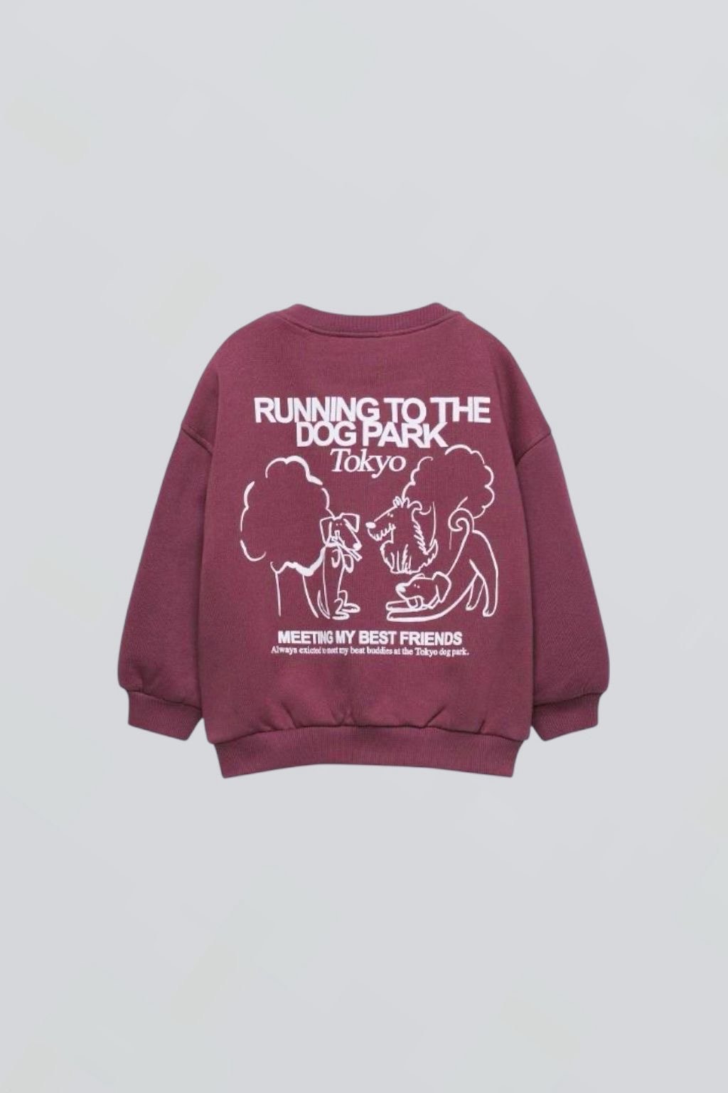 Just Running To The Dog Park Eşofman Takım