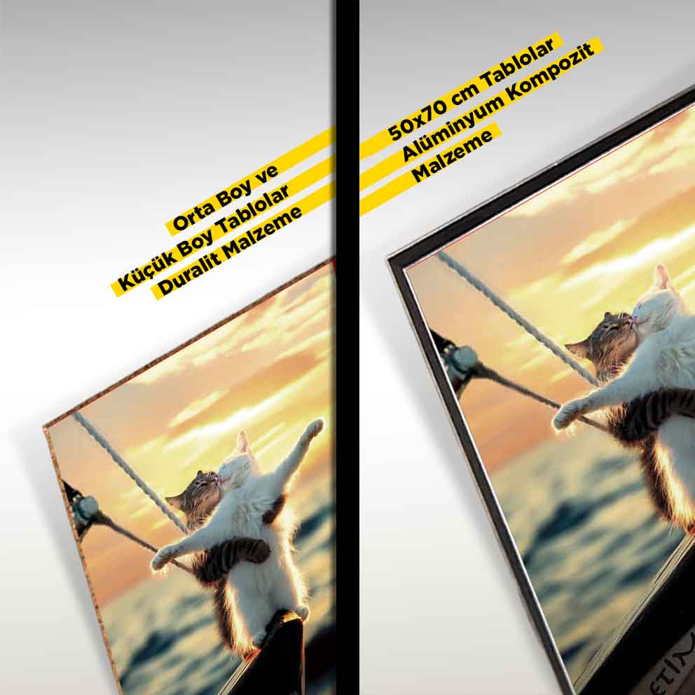 Titanik Temalı Kedi Posteri  "Sevgili Kediler Duvar Dekoru" TB_00015