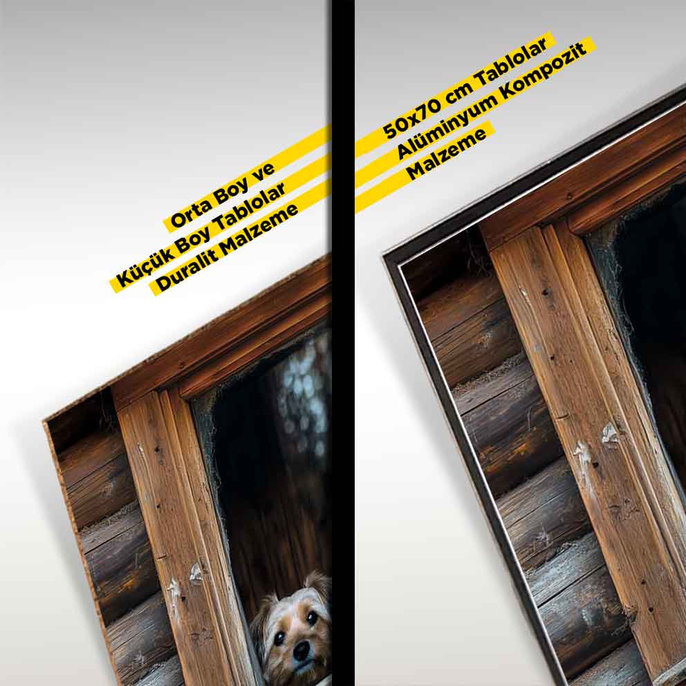 Penceredeki Sevimli Gözler - “Hayvan Severlere Özel Tablo” TB_00007