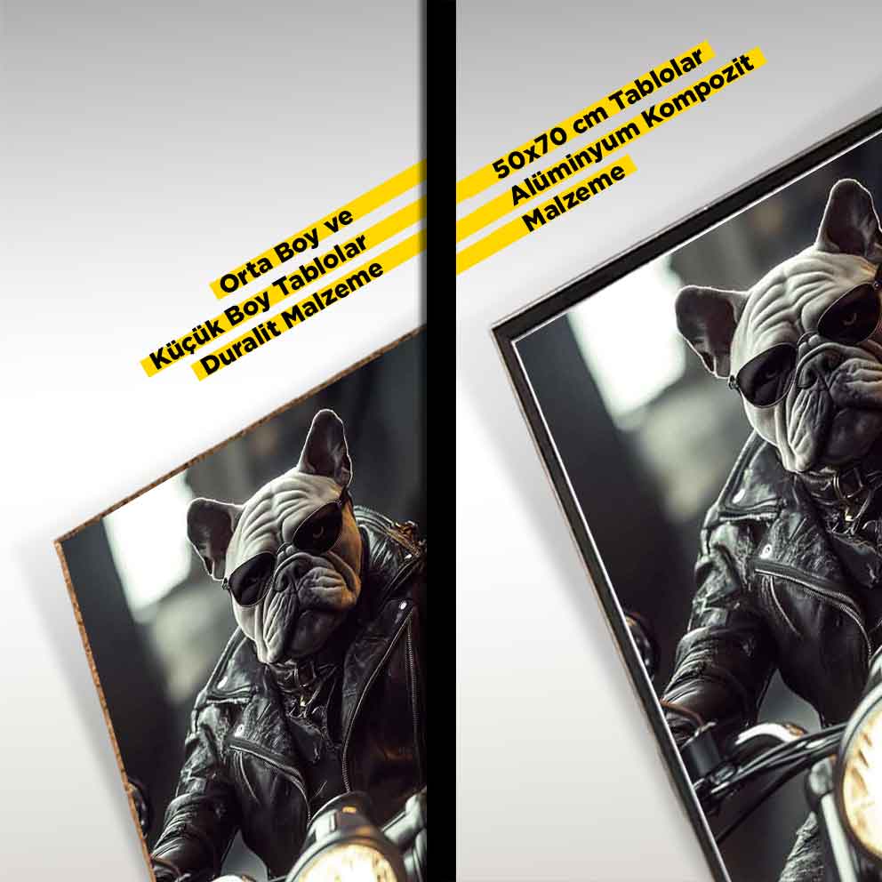 Motosikletli Bulldog Tablo  "Hayvan Temalı Modern Duvar Dekoru" TB_00009