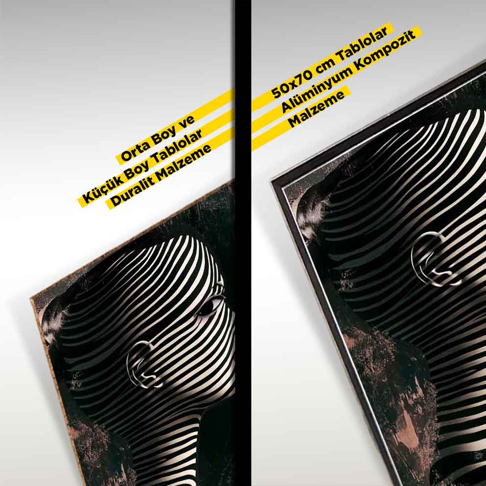 “Zarafet - Siyah Beyaz Çizgisel Modern Sanat” TB_00079