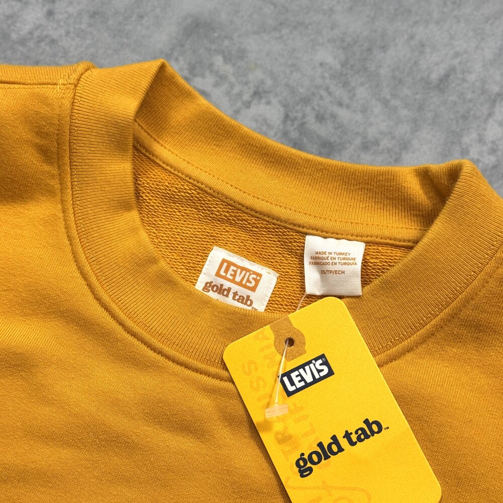 Levis Basic Hoodie/LR03