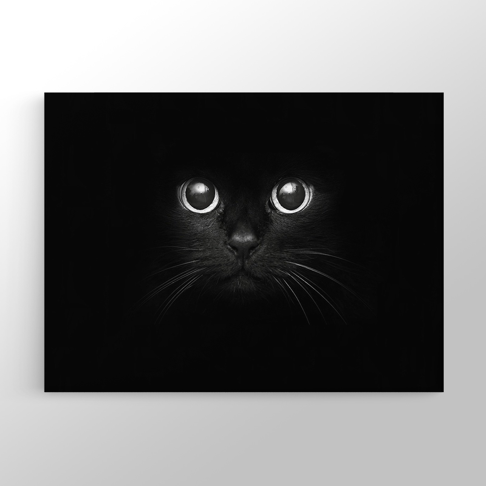 Kara Kedi Kanvas Tablo