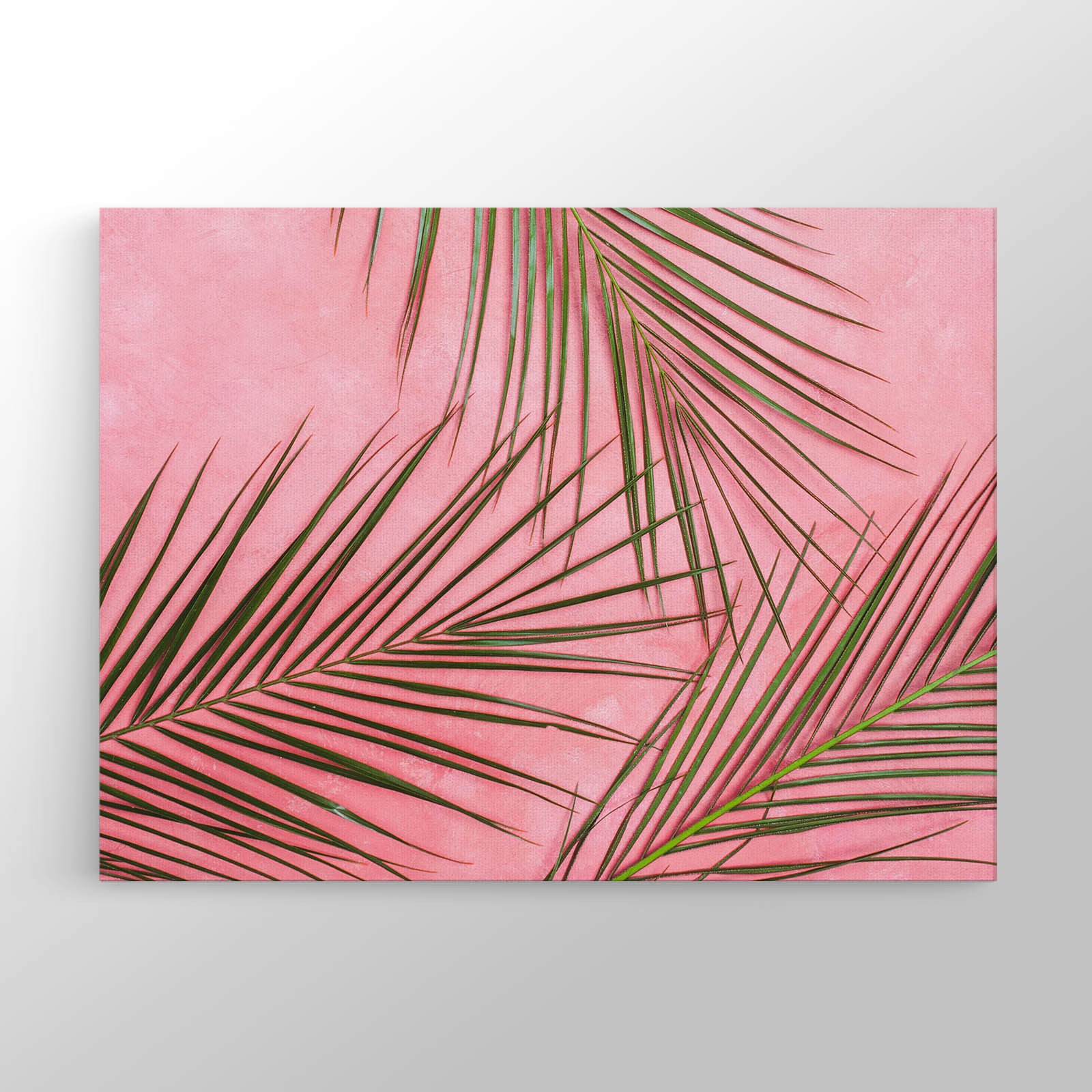 Palmiye Yaprağı Kanvas Tablo