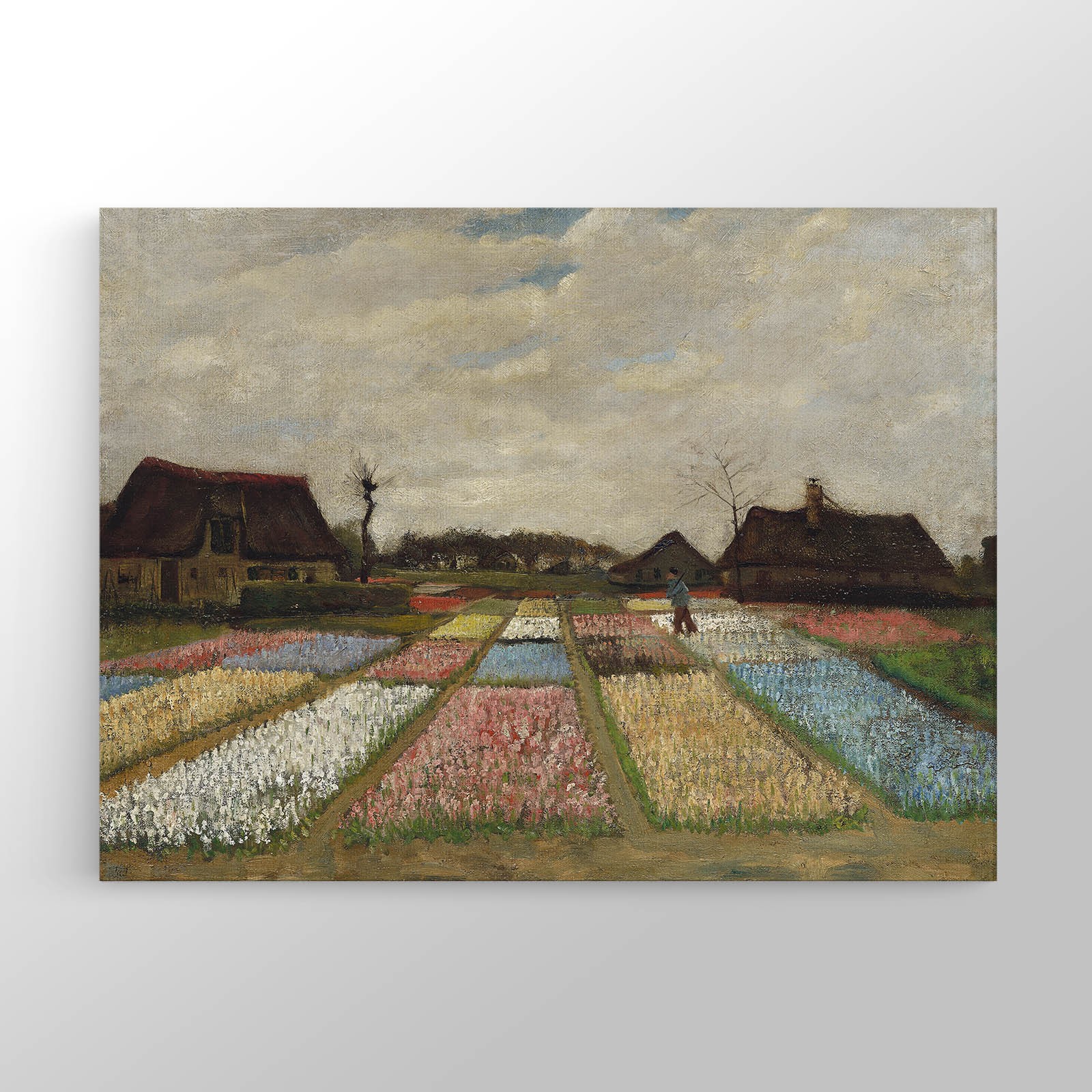 Hollanda'da Çiçek Tarlası Kanvas Tablo