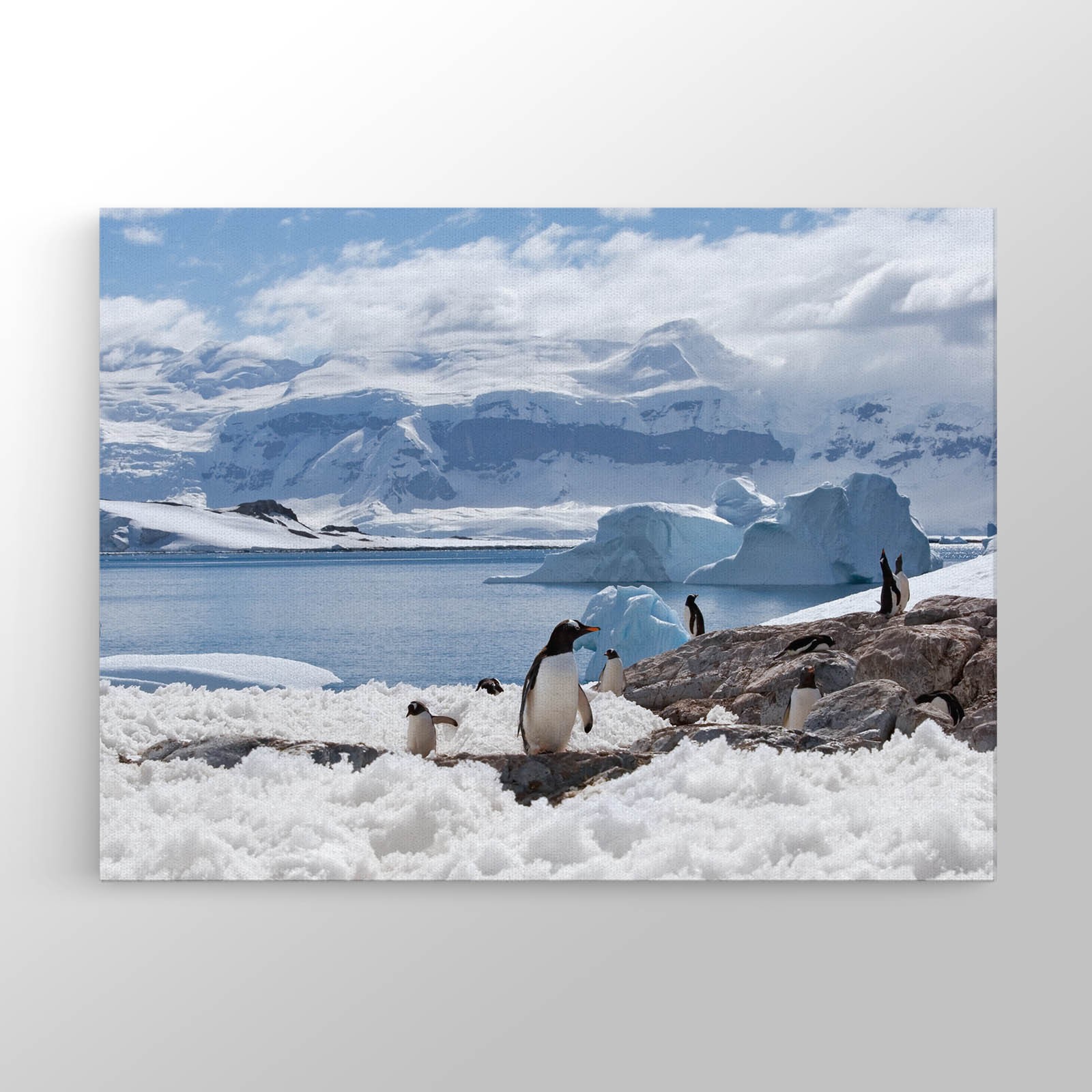 Antarktika Buzdağı Penguenleri Kanvas Tablo